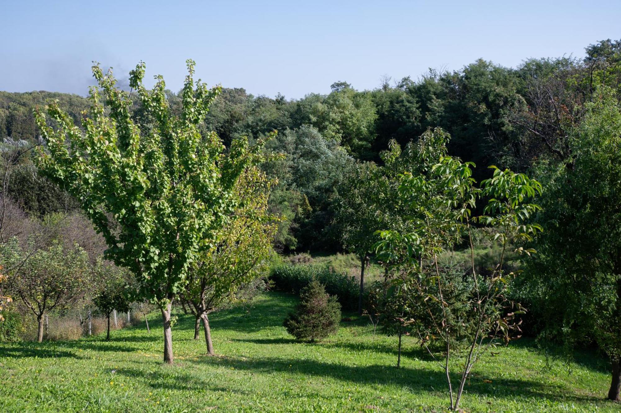 Away From * Varazdin Breg